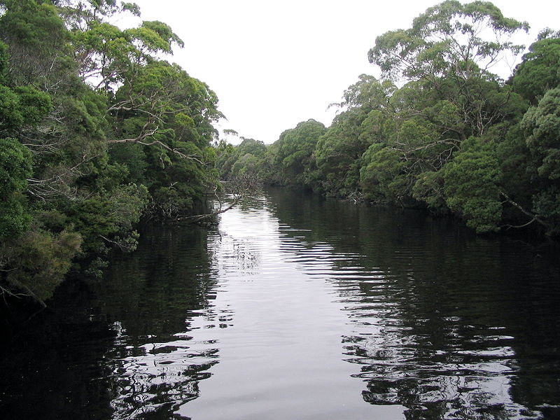 File:Henty-River Tasmania.jpg