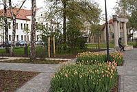 Park in Mátészalka