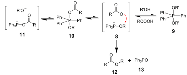 The latter stages of the mechanism proposed for the Mitsunobu reaction.