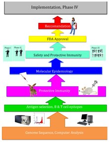 Reverse Vaccinology Flowchart.pdf