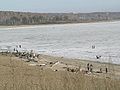 El embalse en la primavera, con bañistas en las playas