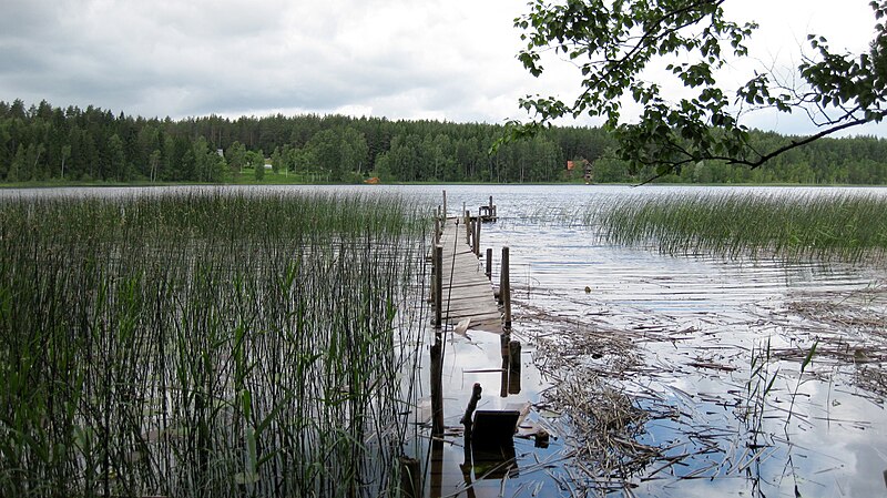 Файл:Viisjaagu järv.JPG