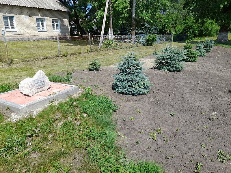 Файл:Аллея выпускников (Карамышка).jpg