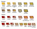 Nazi Party political ranks (1934–1938)