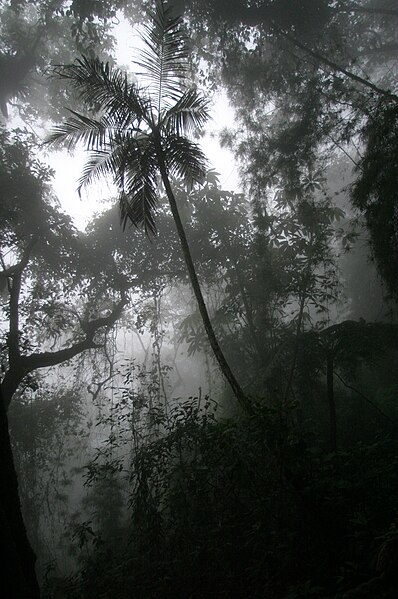 Archivo:Chicaque.jpg