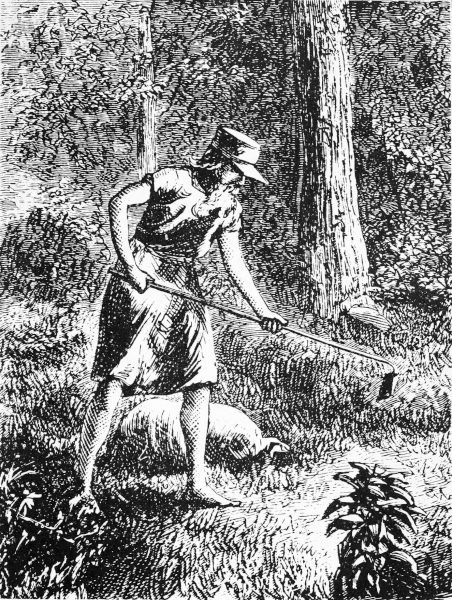 File:Johnny Appleseed.gif