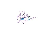 1i71: HIGH RESOLUTION CRYSTAL STRUCTURE OF APOLIPOPROTEIN(A) KRINGLE IV TYPE 7: INSIGHTS INTO LIGAND BINDING