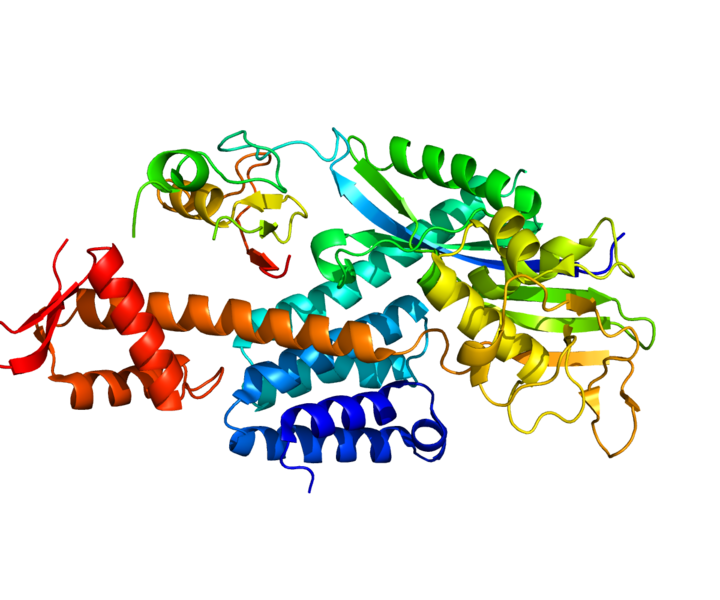 Файл:Protein CUL5 PDB 3DPL.png