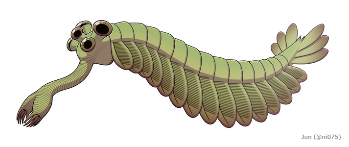 Restoration