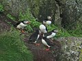 On Lundy Island