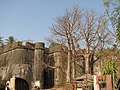 Baobab trees at seaside gate at Vasai Fort, Maharashtra, India