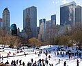 Wollman Skating Rink