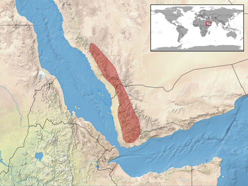 File:Chamaeleo calyptratus distribution.png