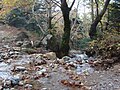 A tiny river flowing by the Dirfi mountain