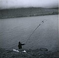 Fowling north of Múli around 1960