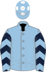 Light Blue, Dark Blue chevrons, dark blue chevrons on sleeves, Light Blue cap, White spots