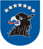 Coat of arms of Kartuzy, Kartuzë