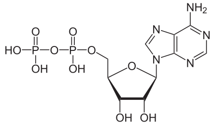 Archivo:Adenosindiphosphat protoniert.svg