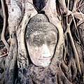 Buddha in Ayutthaya