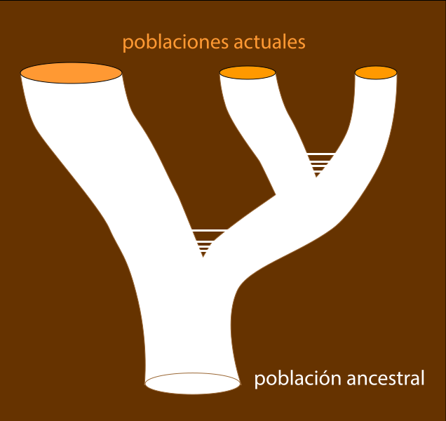 Archivo:Grupomonofiletico-poblacionesactuales.svg