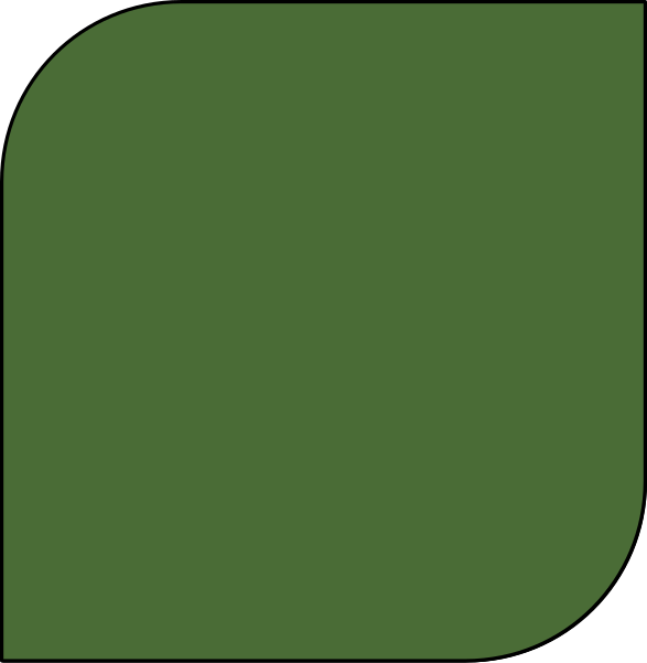 File:IRIAF Socialized Soldier Dress.svg