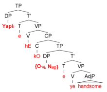 A syntax tree showing the derivation of the sentence 'Yapi said that he is handsome'.