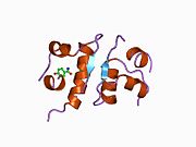 1ben: INSULIN COMPLEXED WITH 4-HYDROXYBENZAMIDE