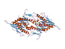 PDB 1ii6 EBI.jpg