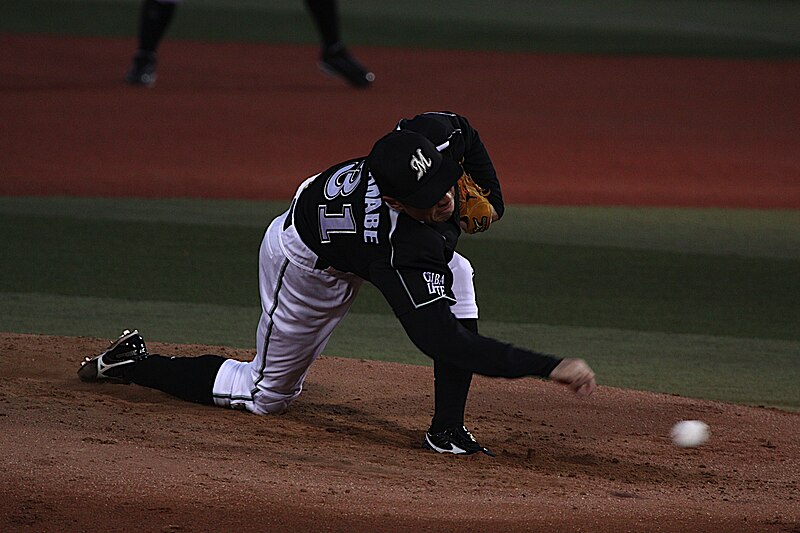 File:Shunsuke Watanabe 2010 (2).JPG