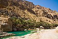 Wadi Shab and Wadi Tiwi