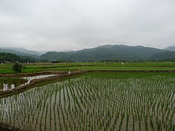 Farmland and hills in Gongliao District