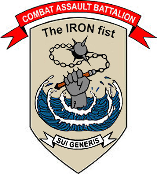 File:CombatAssaultBattalionSHIELD.jpg