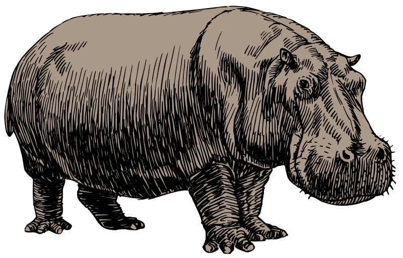 File:Hippopotamus-PSF-Oksmith.svg