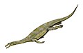 Nothosaurus mirabilis