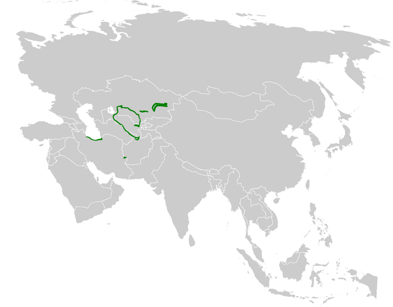 Файл:Remiz macronyx distribution map.png