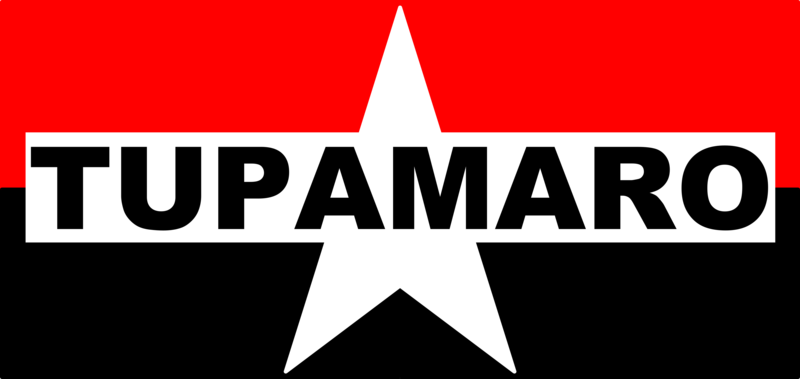 Файл:Bandera Tupamaro.png