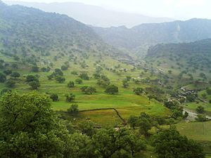 Barabar around the Gachsaran city, early spring