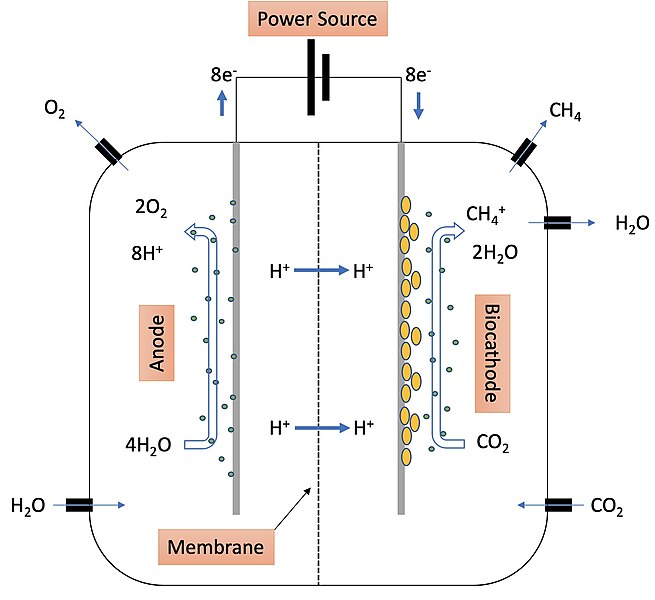 File:Electromethanogenesis.jpg