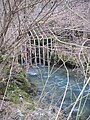 A fenced-in ponor south of Grosuplje, Slovenia