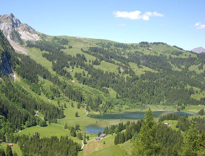 File:Lauenensee-2008-06-21-a.jpg