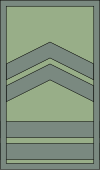 File:North-Macedonia-Army-OR-9.svg