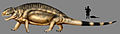 Restauración especulativa de Sphenacodon britannicus.