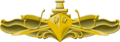 Surface Warfare Officer Insignia