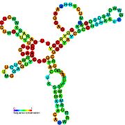 TLS-PK3: Secondary structure taken from the Rfam database. Family RF01084. Derived from Pseudobase PKB00134 PKB00136 PKB00137.