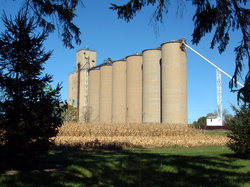 Grain elevator in Tab