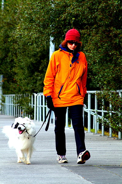 File:Walking the dog (1945527533).jpg