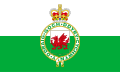 Flag of 1953–59, depicting the Royal Badge of Wales after its augmentation of honour.