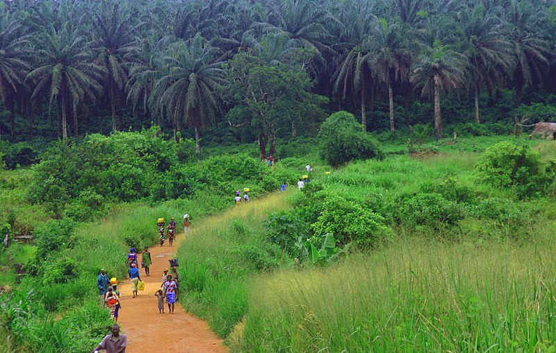 Archivo:Kenema-Kailahun Road.jpg