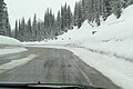 Lolo Pass, Montana side, approaching summit, westbound.