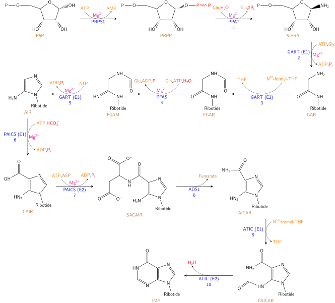 File:Nucleotides syn1.svg